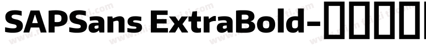 SAPSans ExtraBold字体转换